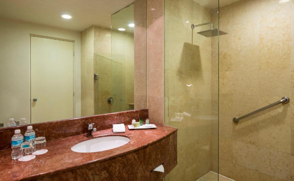 Real Inn San Luis Potosi