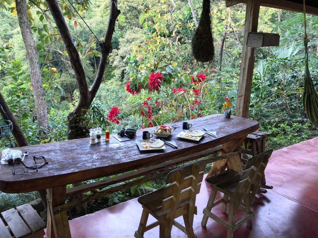 Finca San Rafael - Cafe y Cacao
