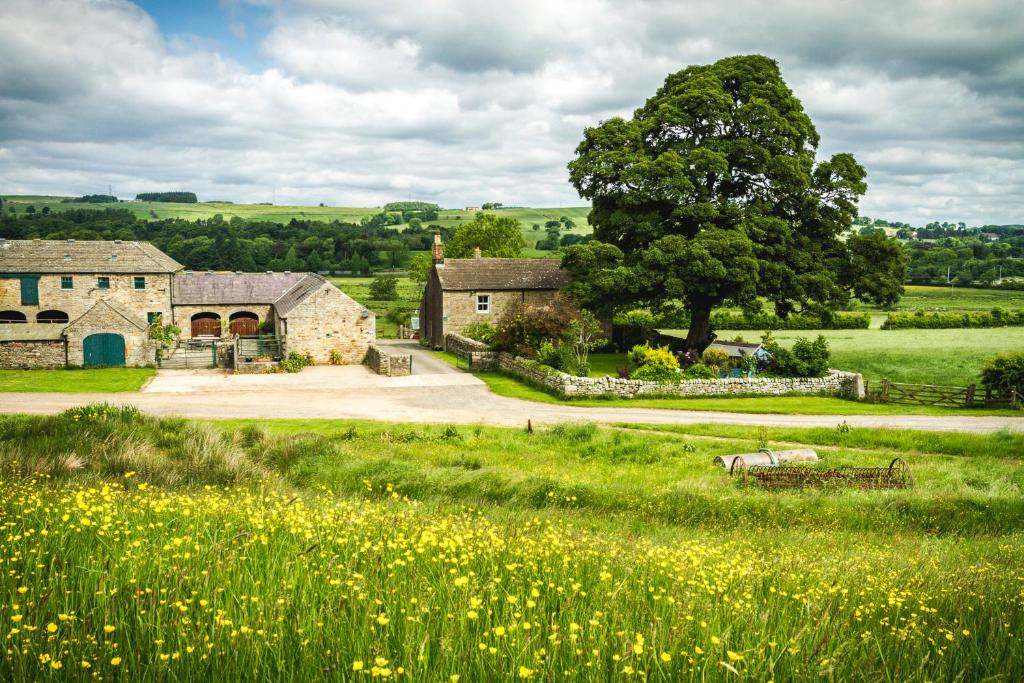 Wydon Farm Bed and Breakfast (Haltwhistle)