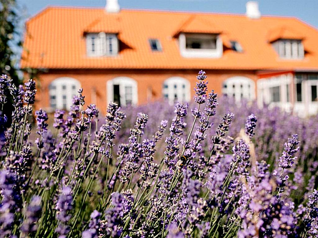 Jungshoved Præstegård B&B (Præstø)