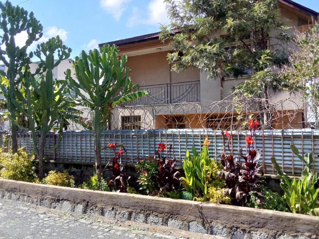 Guest House three bed rooms with green area