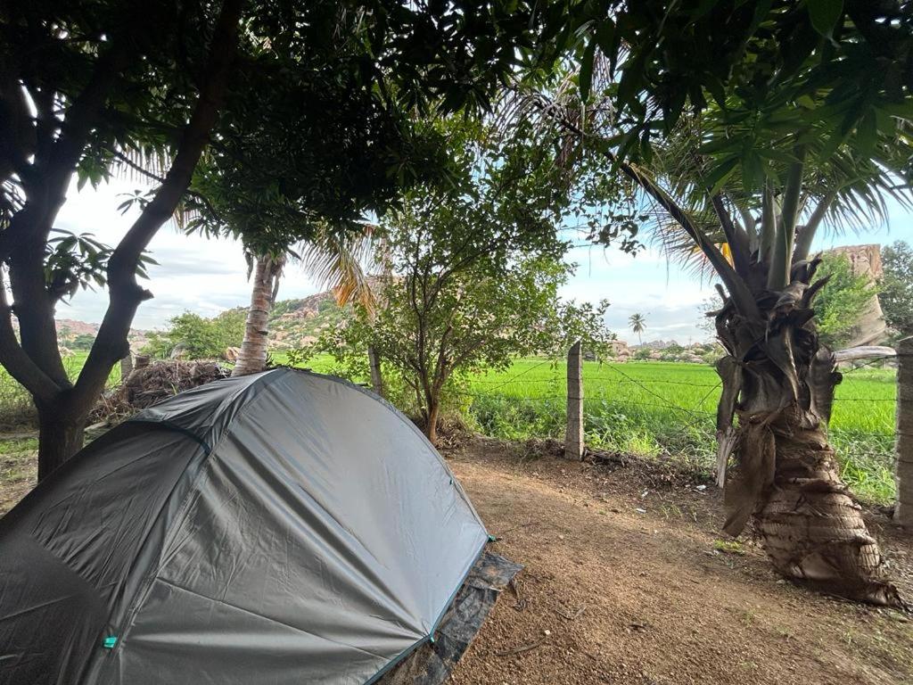 Sheshbesh hampi